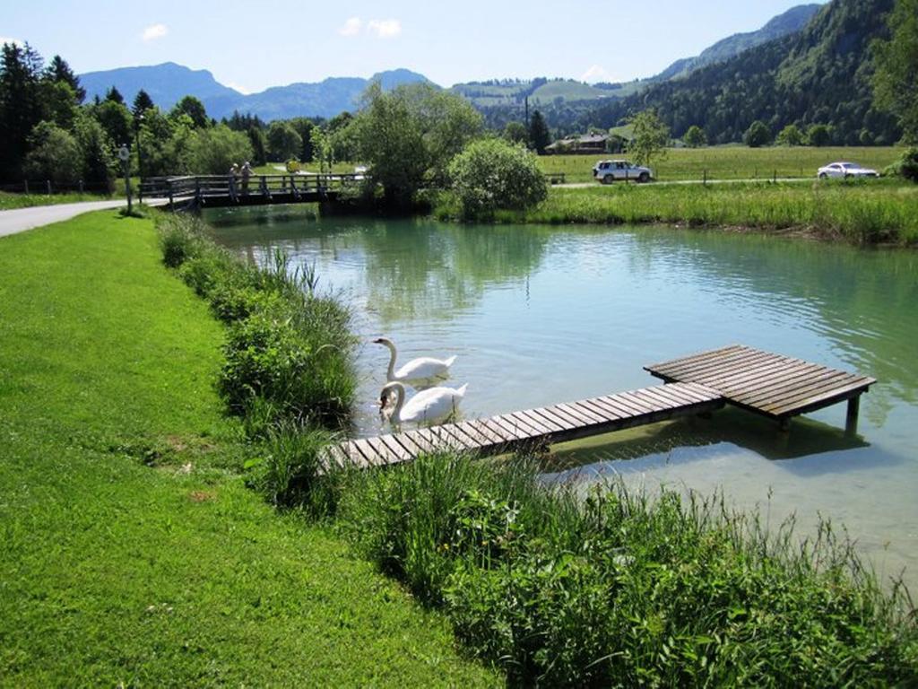 Pension Essbaum Apartment Walchsee Bagian luar foto